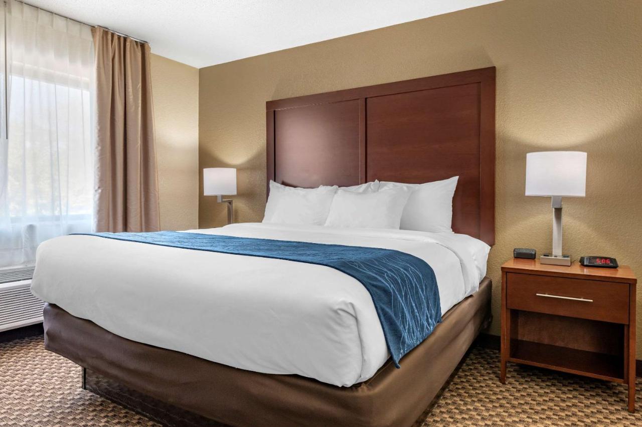Comfort Inn Near Kokomo Speedway מראה חיצוני תמונה