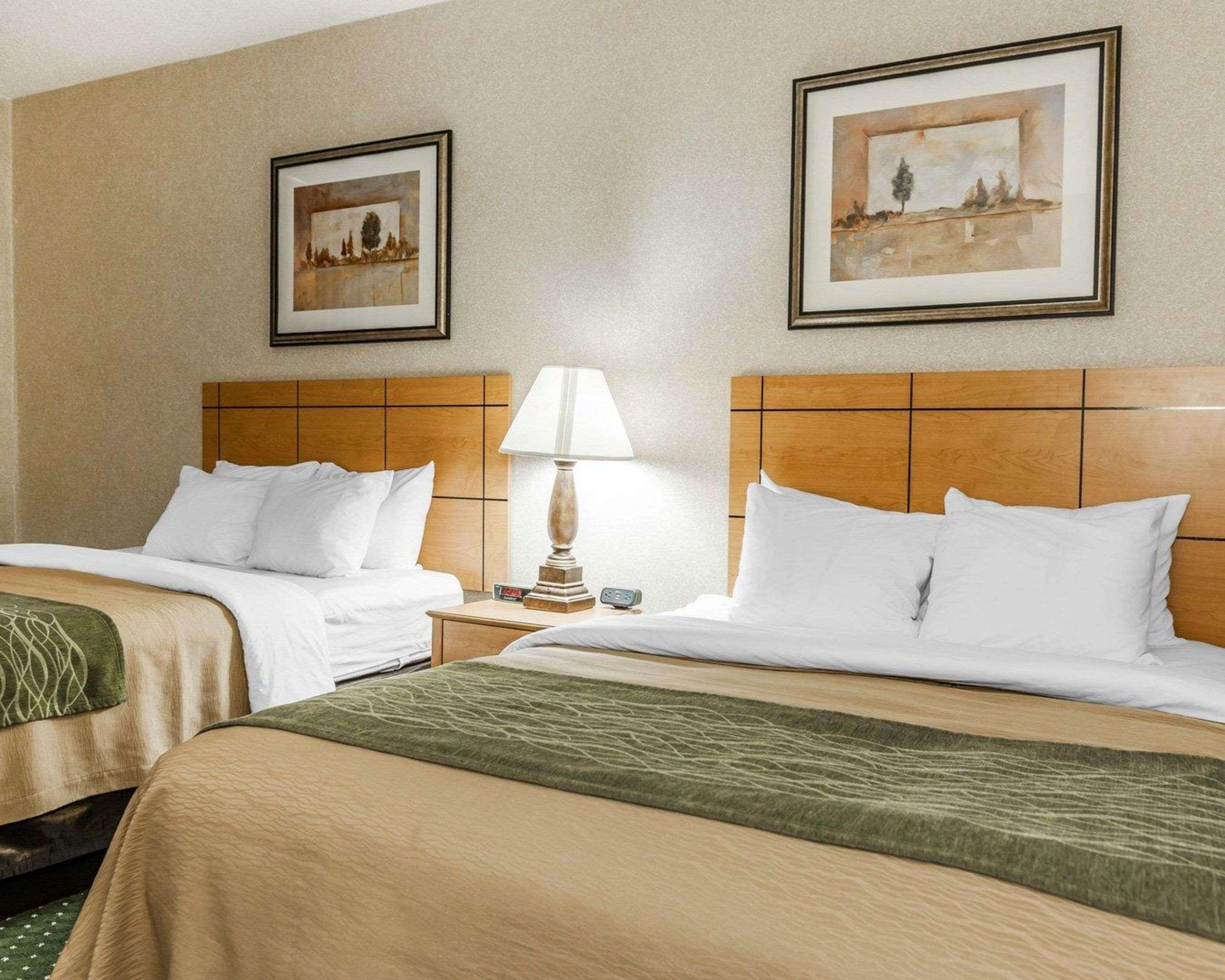 Comfort Inn Near Kokomo Speedway מראה חיצוני תמונה
